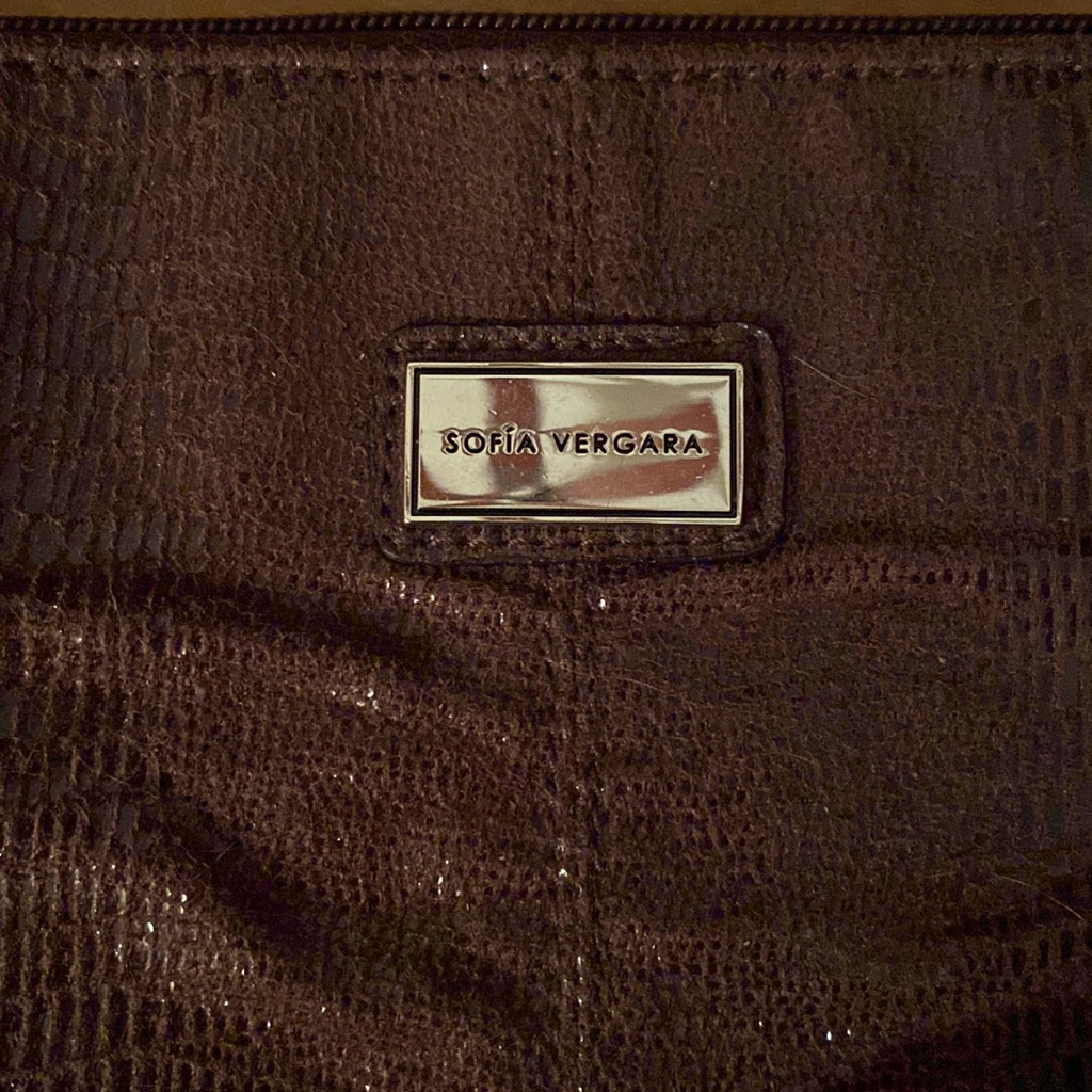 Sofia Vergara Bag